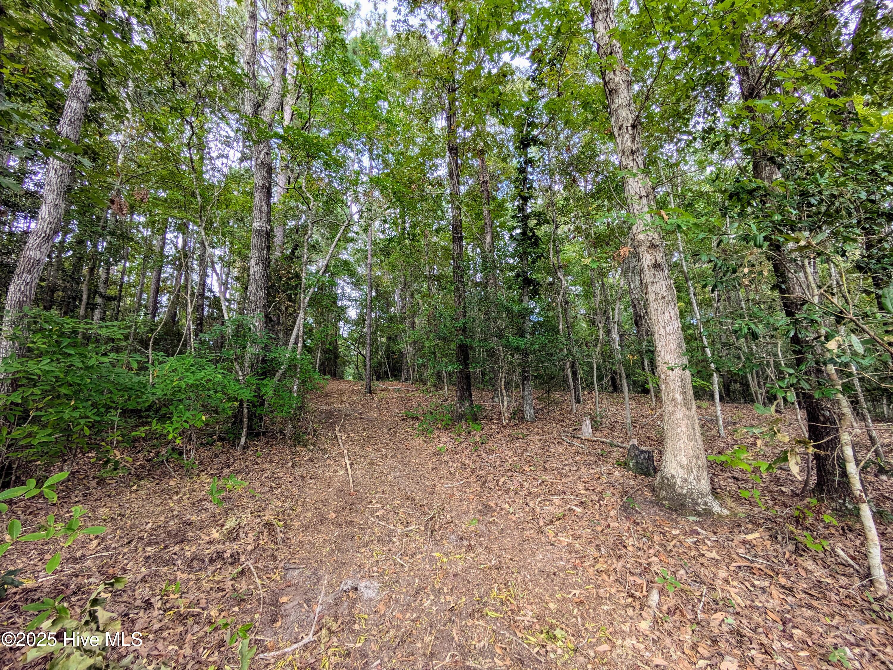 238 Mill Creek Road Stella, NC 28582 - Photo 22 of 25 238 2 (6)