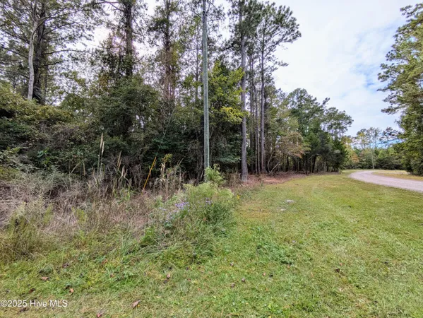 $280,000 | 238 Mill Creek Road, Stella, NC 28582