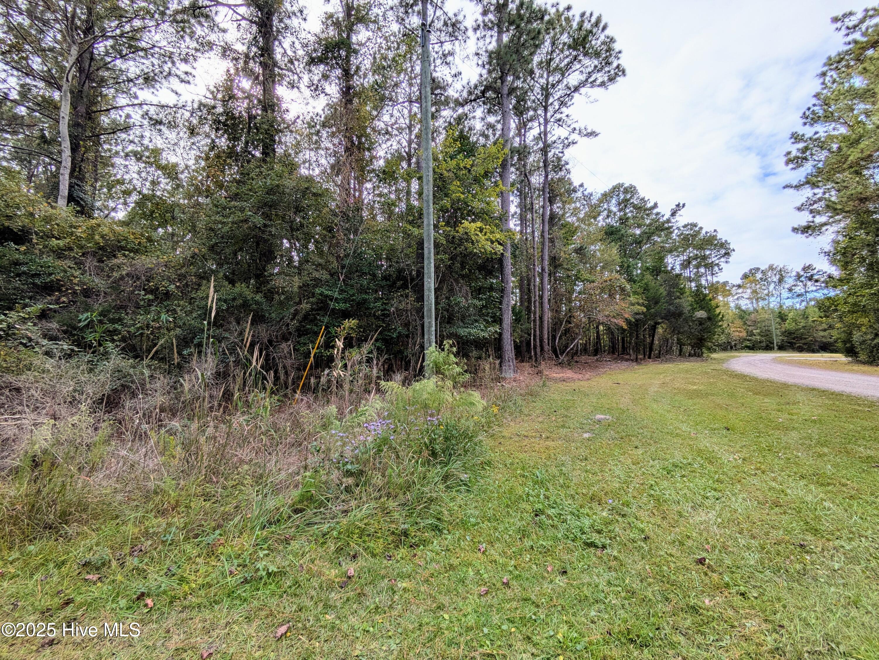 238 Mill Creek Road Stella, NC 28582 - Photo 23 of 25 238 2 (7)