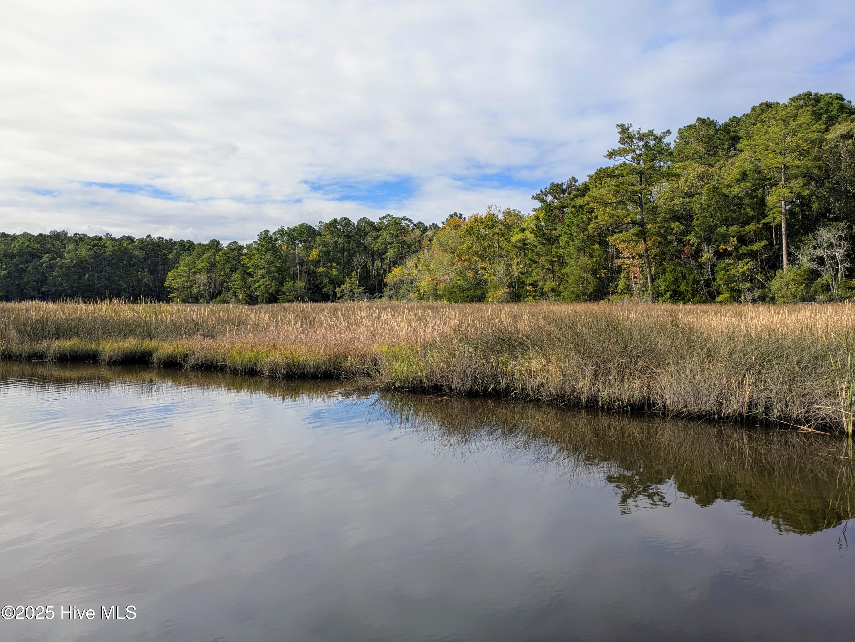 238 Mill Creek Road Stella, NC 28582 - Photo 25 of 25 238 2 (9)