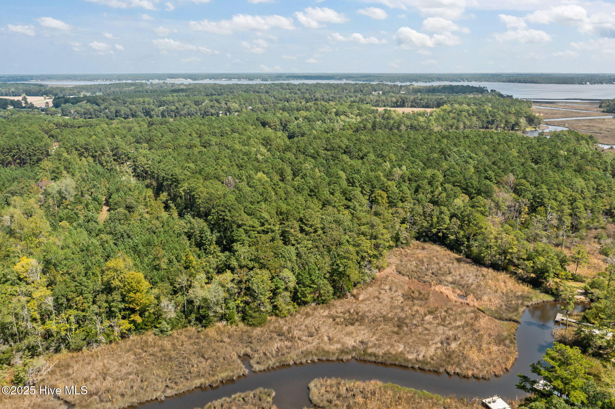 238 Mill Creek Road Stella, NC 28582 - Photo 4 of 25 238 (9)