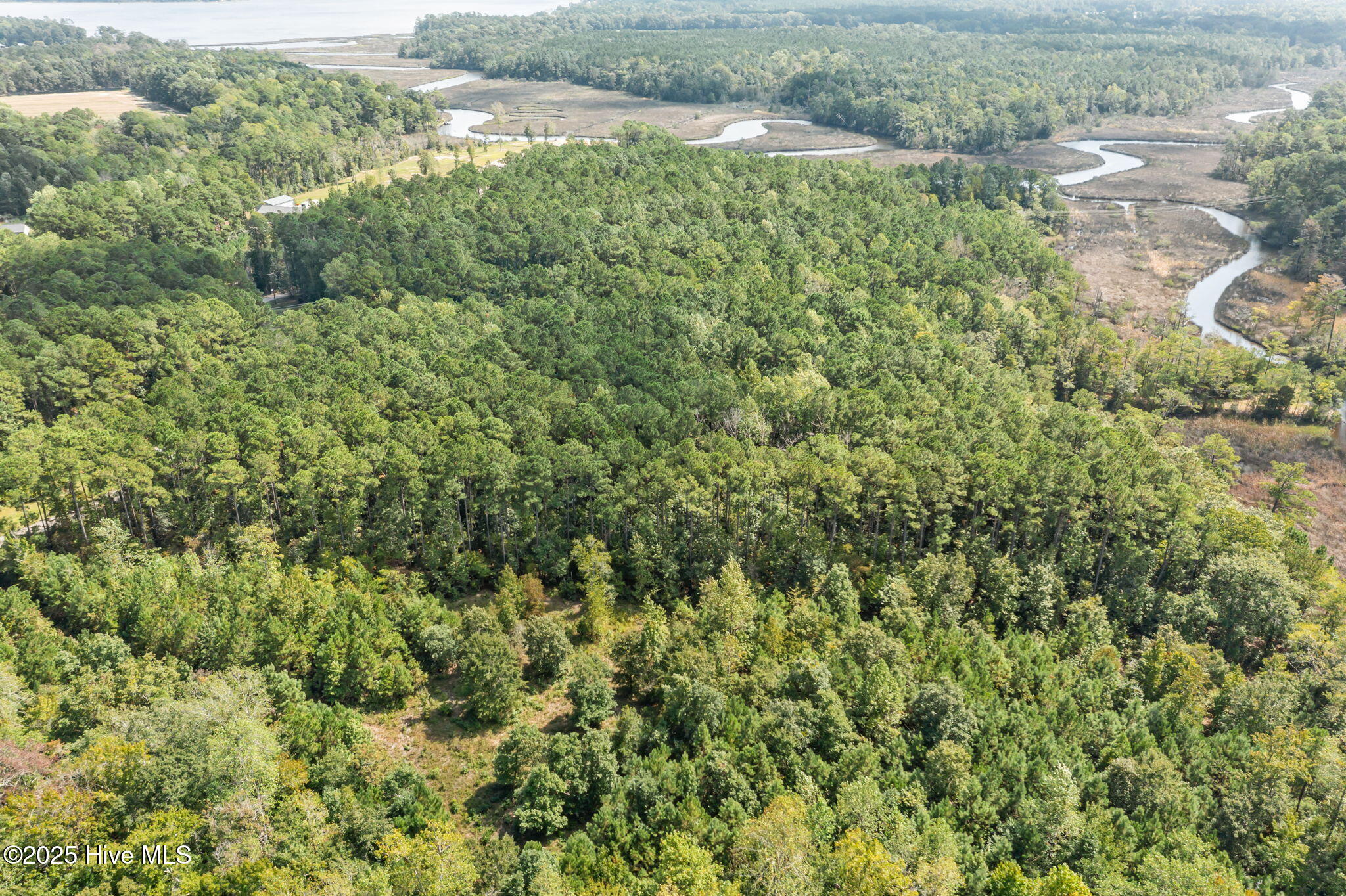238 Mill Creek Road Stella, NC 28582 - Photo 7 of 25 238 (3)