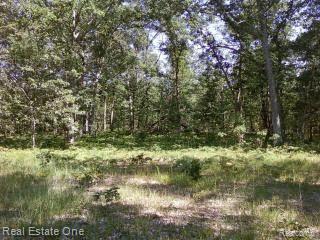 0 128th Rothbury, MI 49452 - Photo 13 of 16 Woods