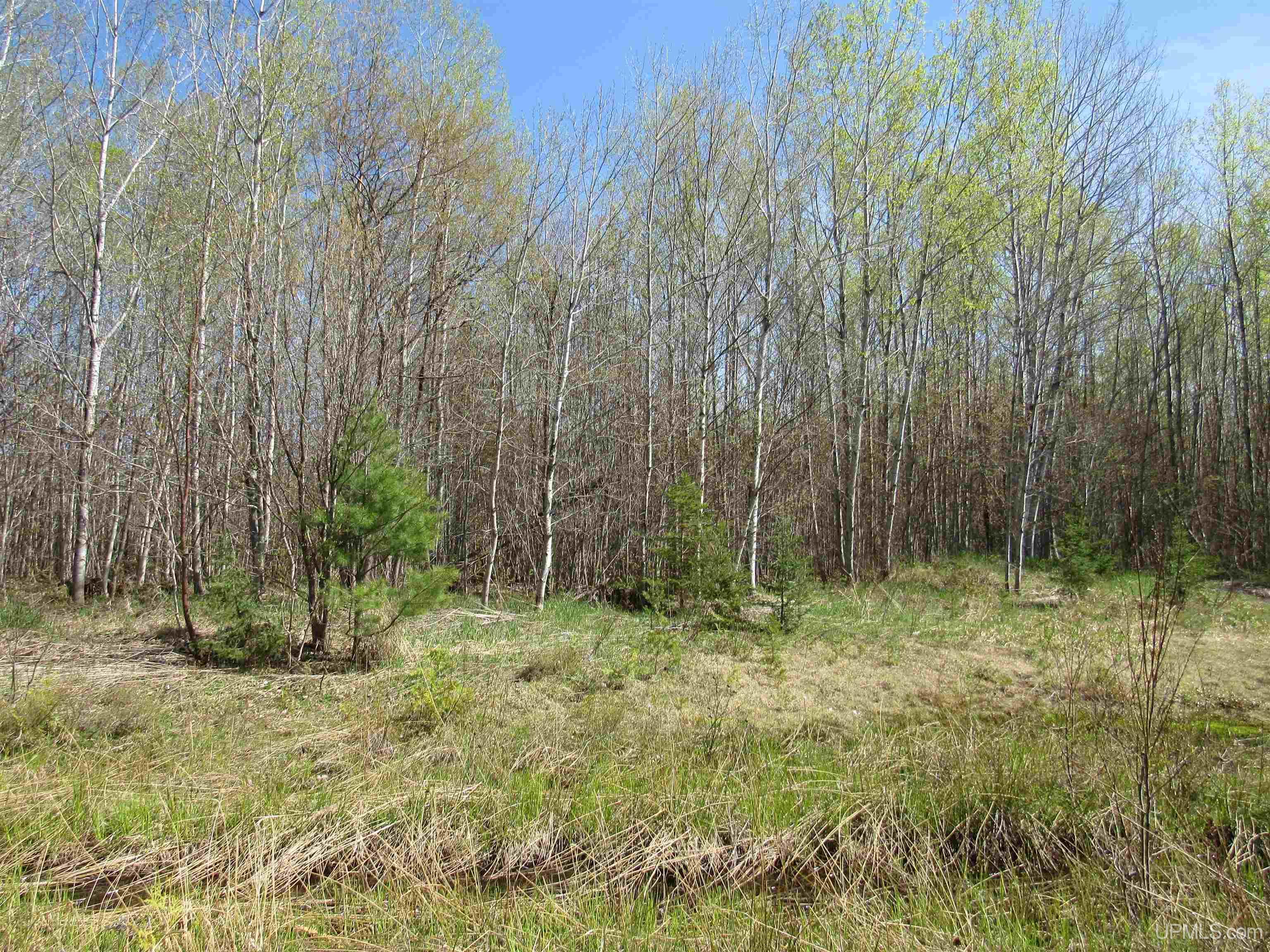 Tbd Off Rice Lake Road, Unit NO DRIVE BYS Lake Linden, MI 49945 - Photo 11 of 40
