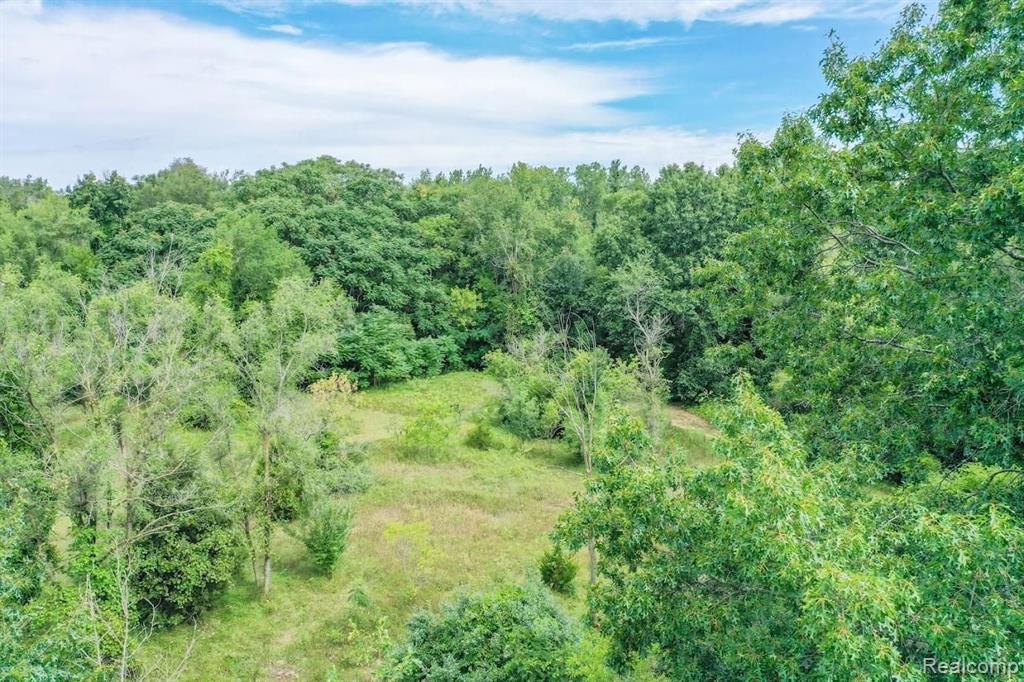 0 Torrey Beach Drive Fenton, MI 48430 - Photo 6 of 12 Gallery Image 6