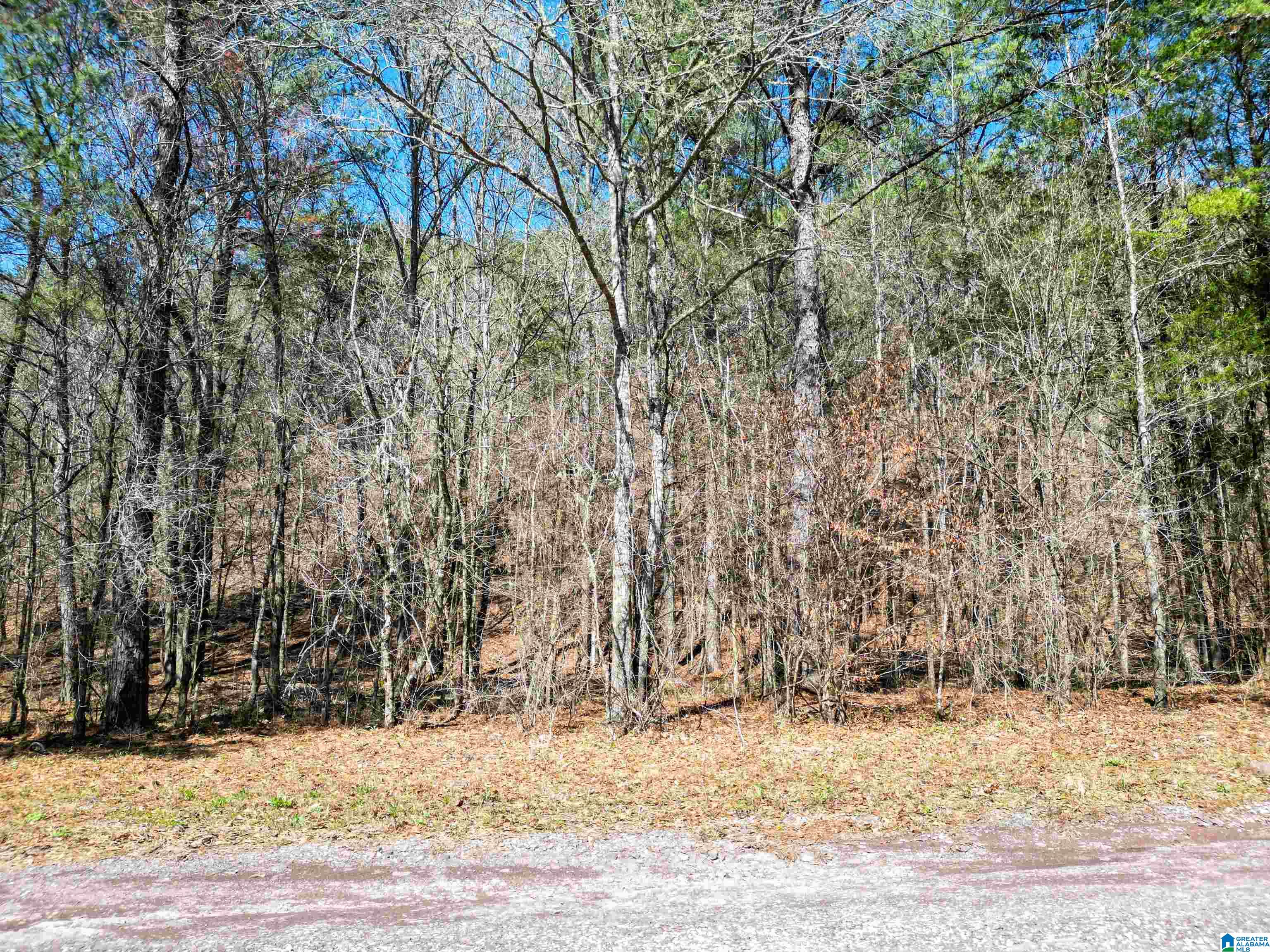 565 Hiawatha Road Calera, AL 35040 - Photo 12 of 27