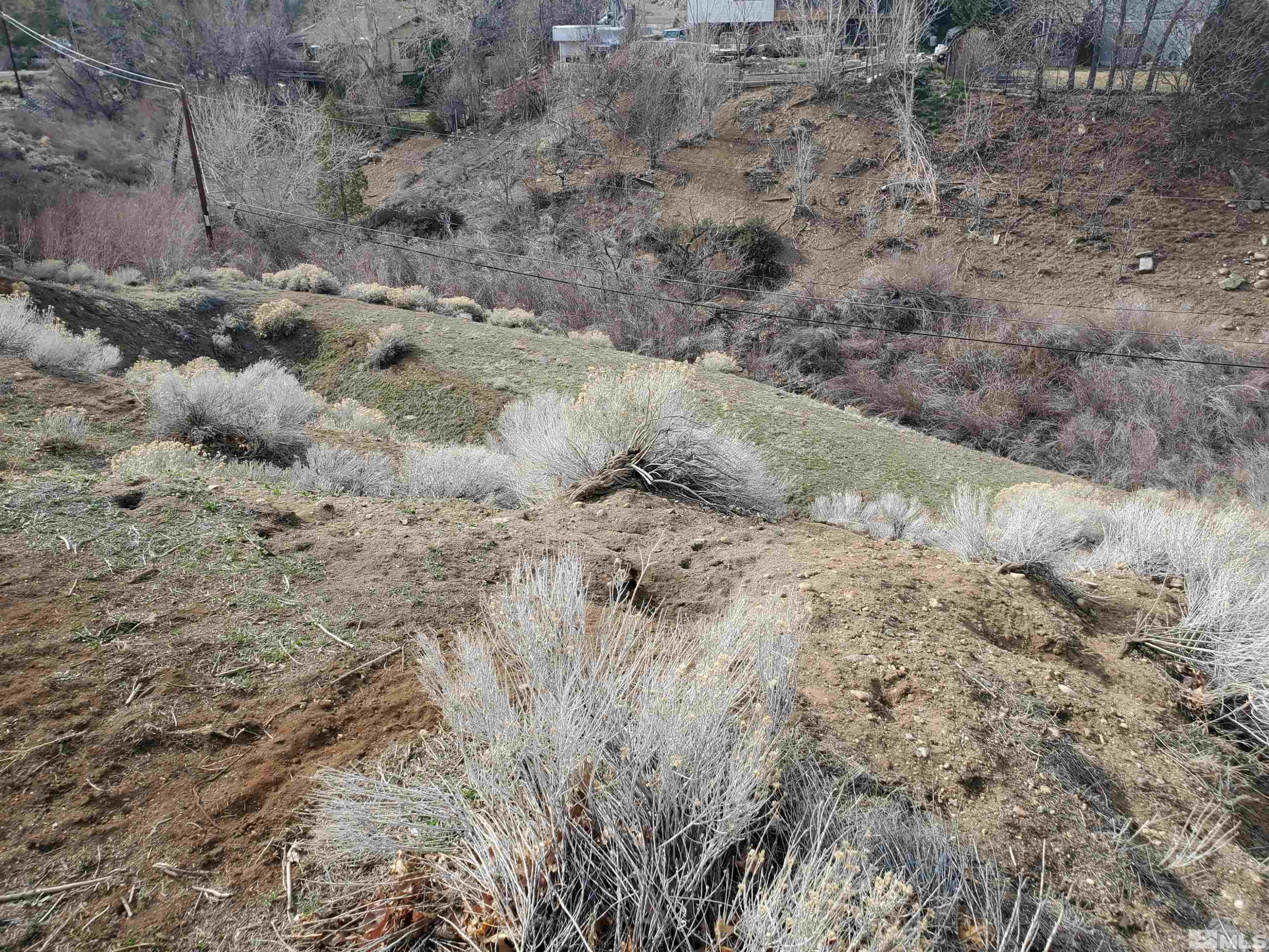 2695 Rodney Drive Reno, NV 89509 - Photo 12 of 22 a view of a dry yard with trees