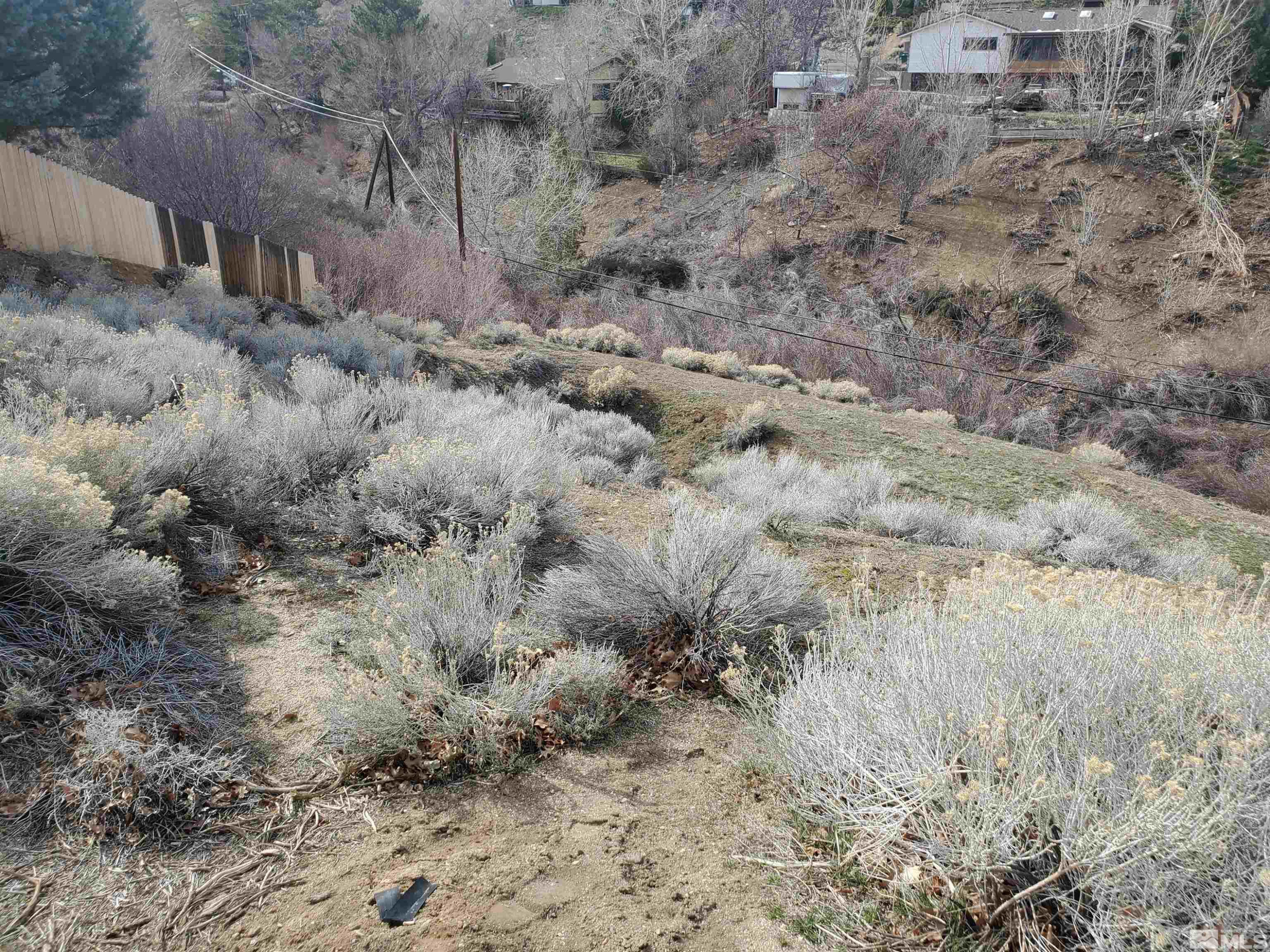 2695 Rodney Drive Reno, NV 89509 - Photo 8 of 22 a view of a dry yard