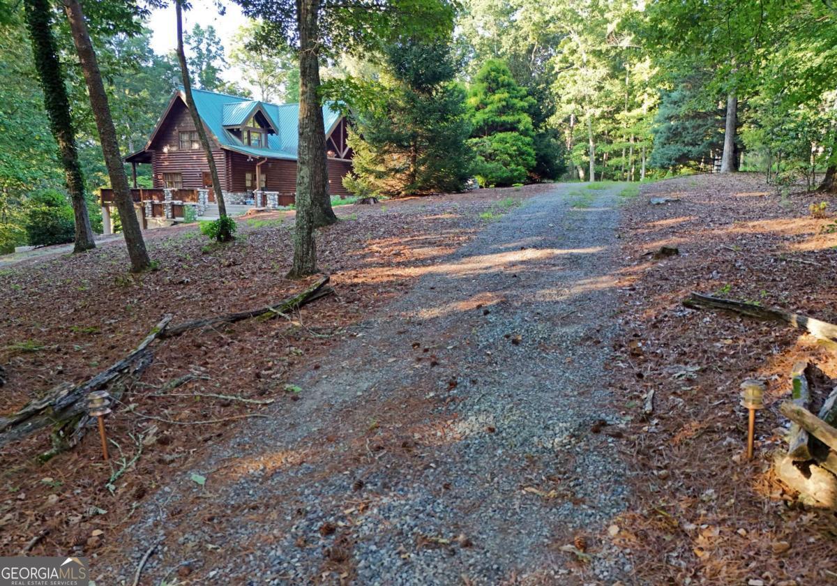 2682 Douthit Road Mineral Bluff, GA 30559 - Photo 57 of 60