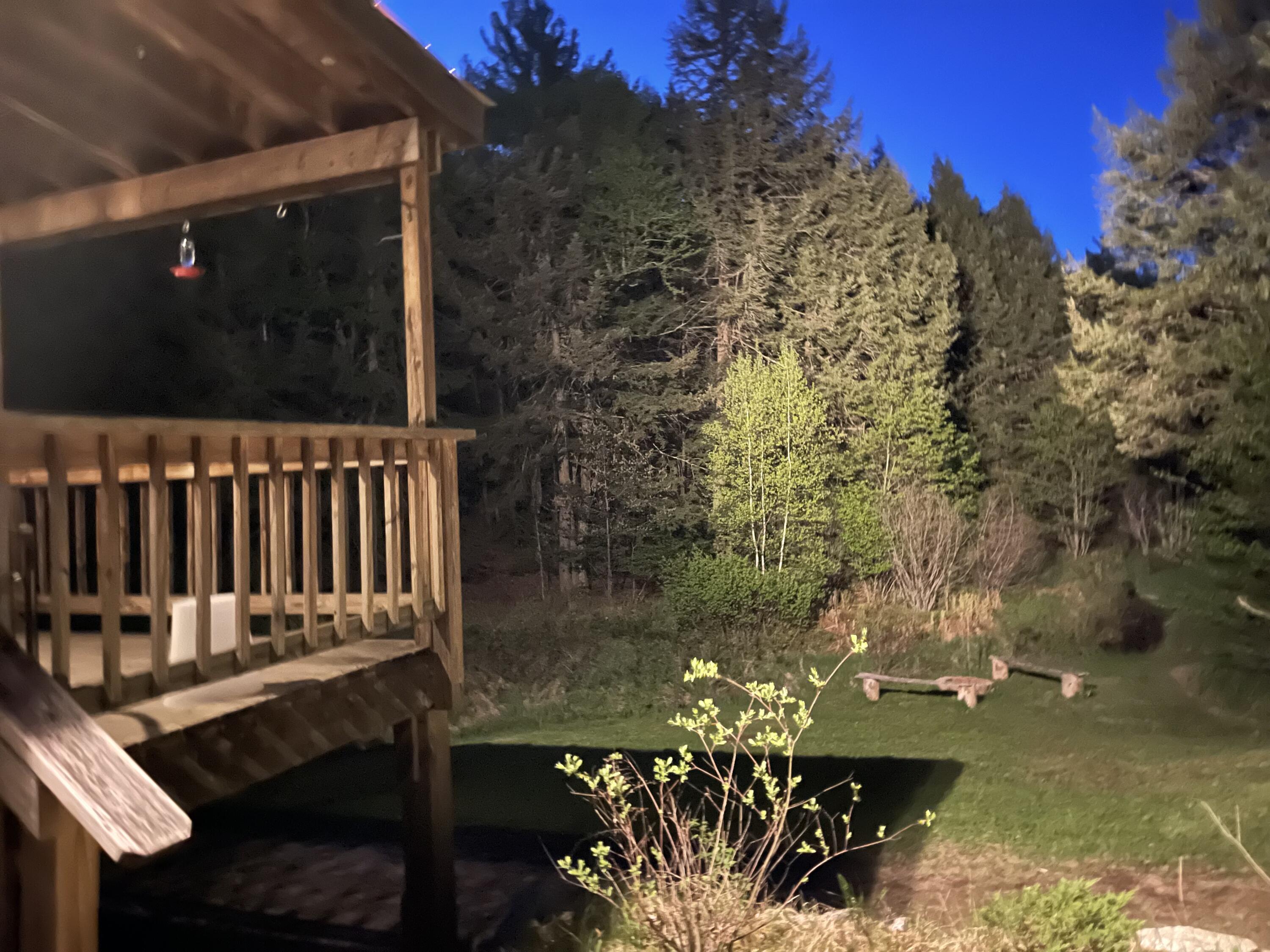 36 Pine Point Road Oxford, ME 04270 - Photo 32 of 37 backyard