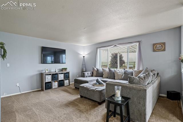 12130 Rio Secco Road Peyton, CO 80831 - Photo 17 of 40 Family Room