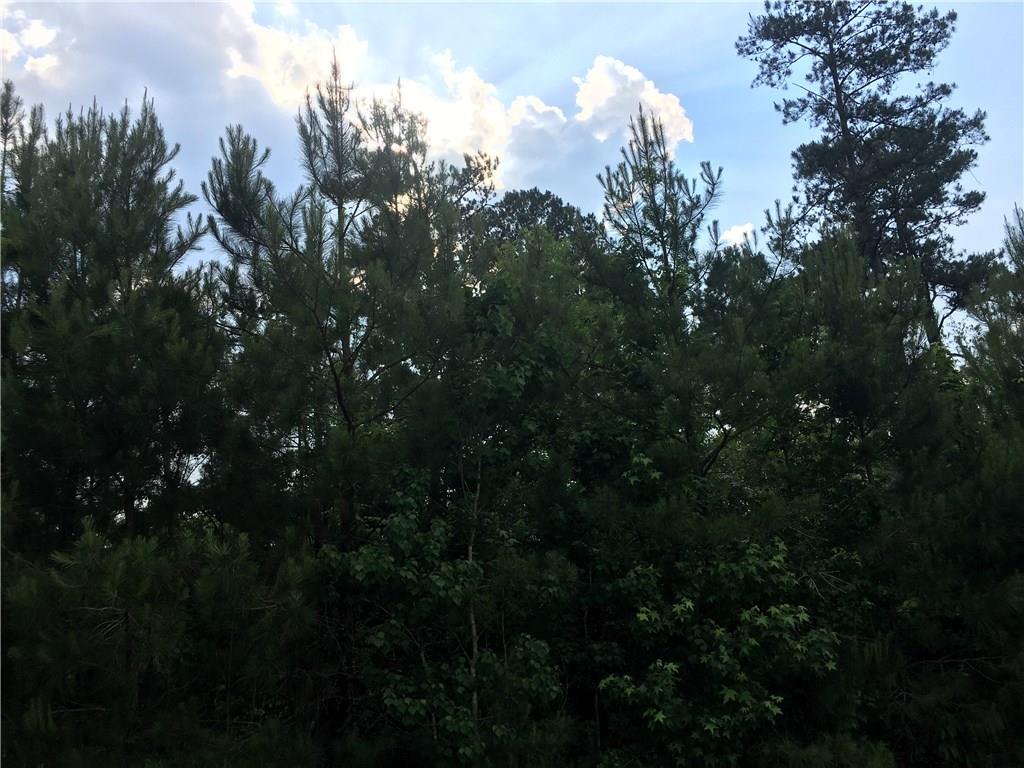 16512 Pellegrin Road Covington, LA 70435 - Photo 11 of 13 Gallery Image 11