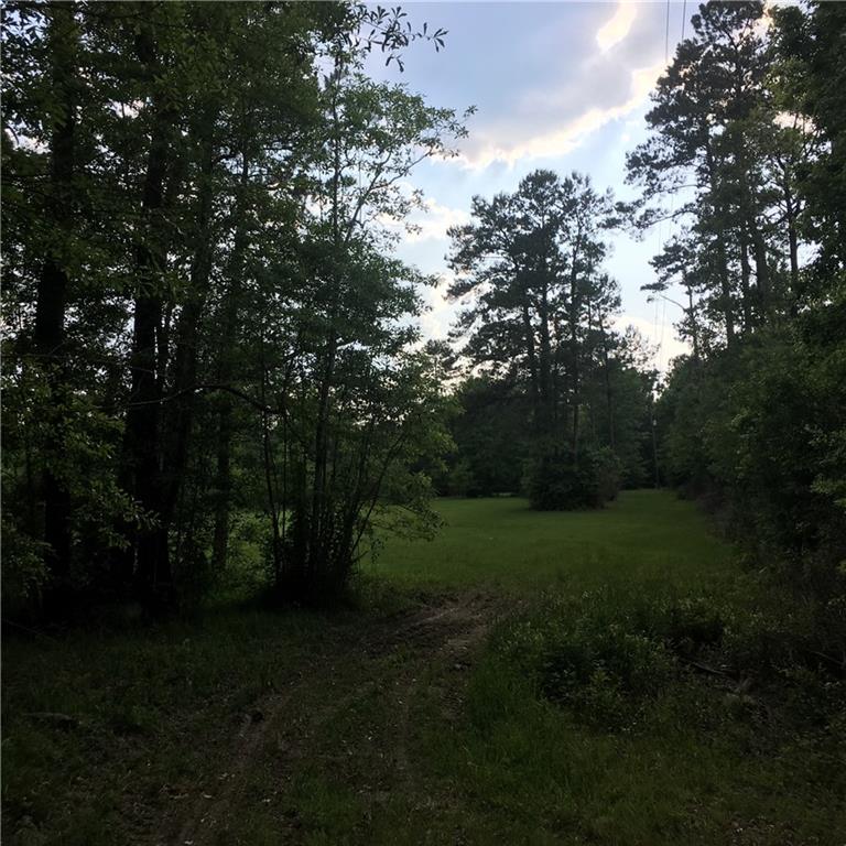 16512 Pellegrin Road Covington, LA 70435 - Photo 10 of 13 Gallery Image 10