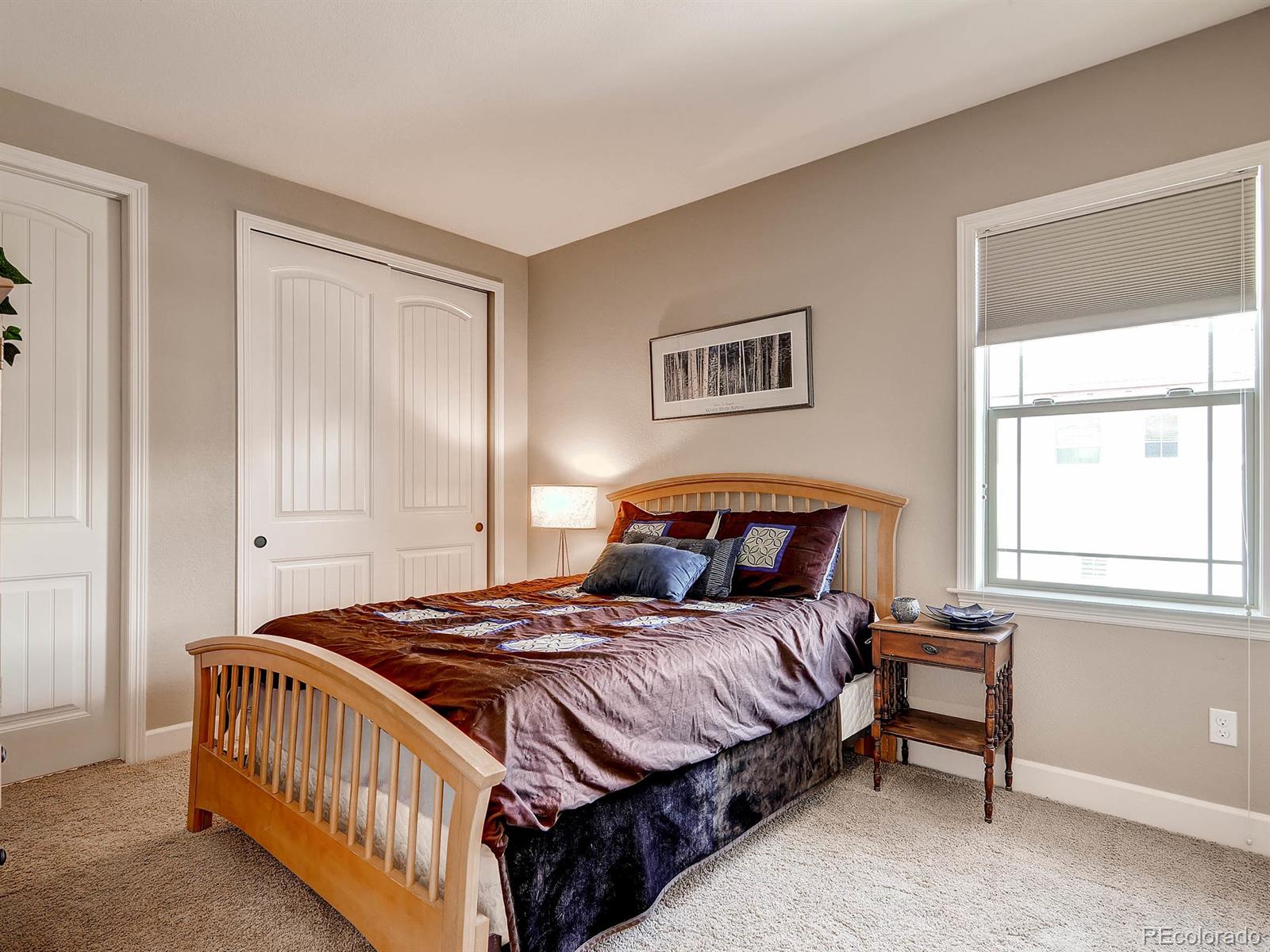 10617 Soulmark Way Highlands Ranch, CO 80126 - Photo 20 of 29 Gallery Image 20