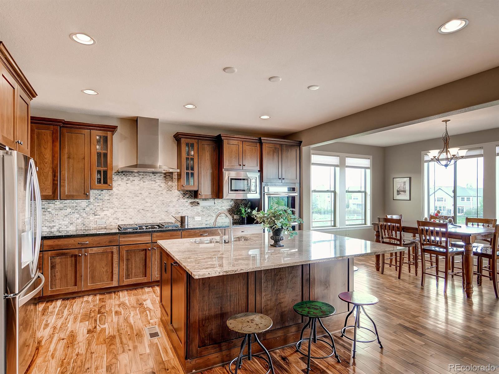 10617 Soulmark Way Highlands Ranch, CO 80126 - Photo 8 of 29 Gallery Image 8