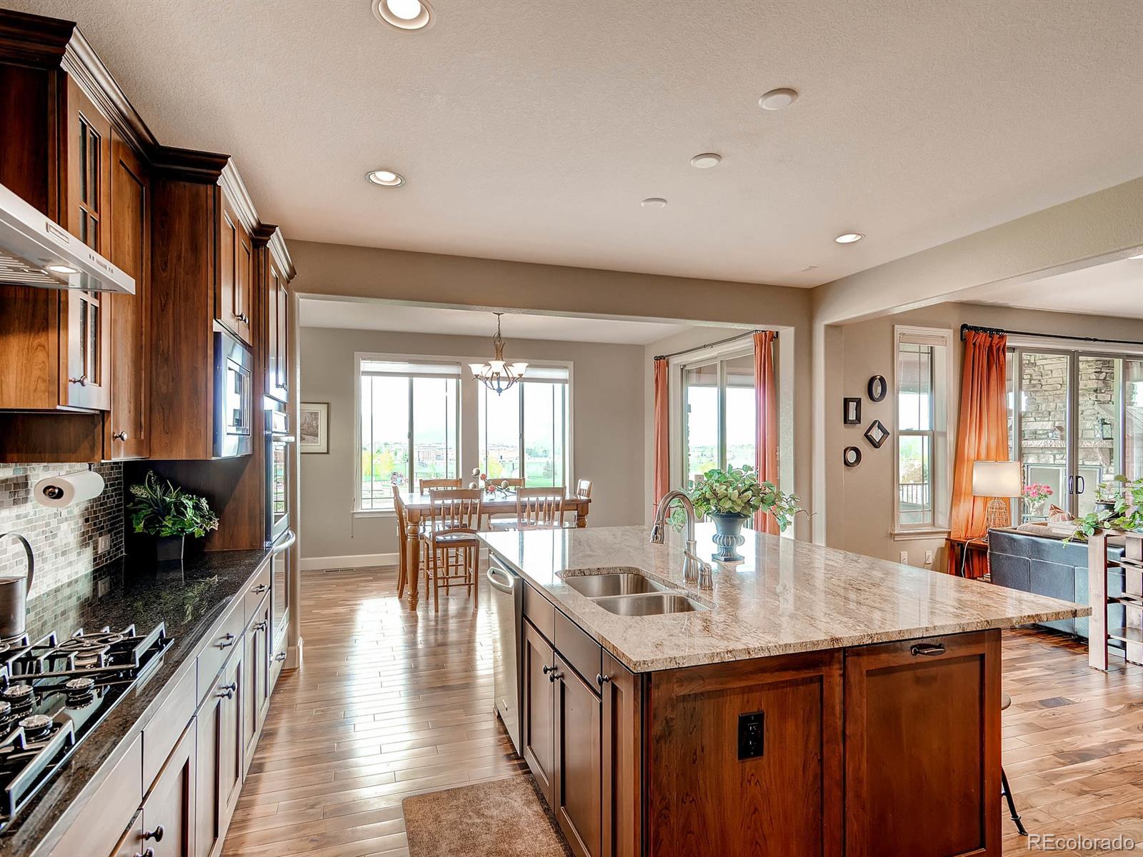 10617 Soulmark Way Highlands Ranch, CO 80126 - Photo 9 of 29 Gallery Image 9