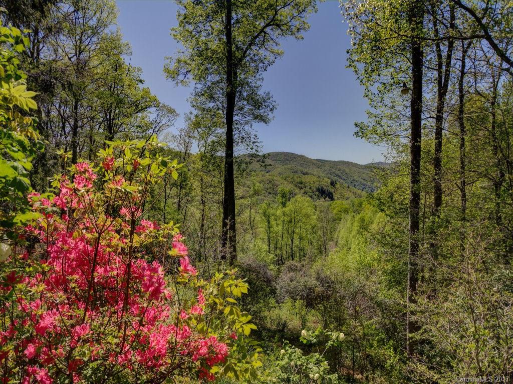 953 Oak Ridge Road Tuckasegee, NC 28783 - Photo 24 of 24 Gallery Image 24
