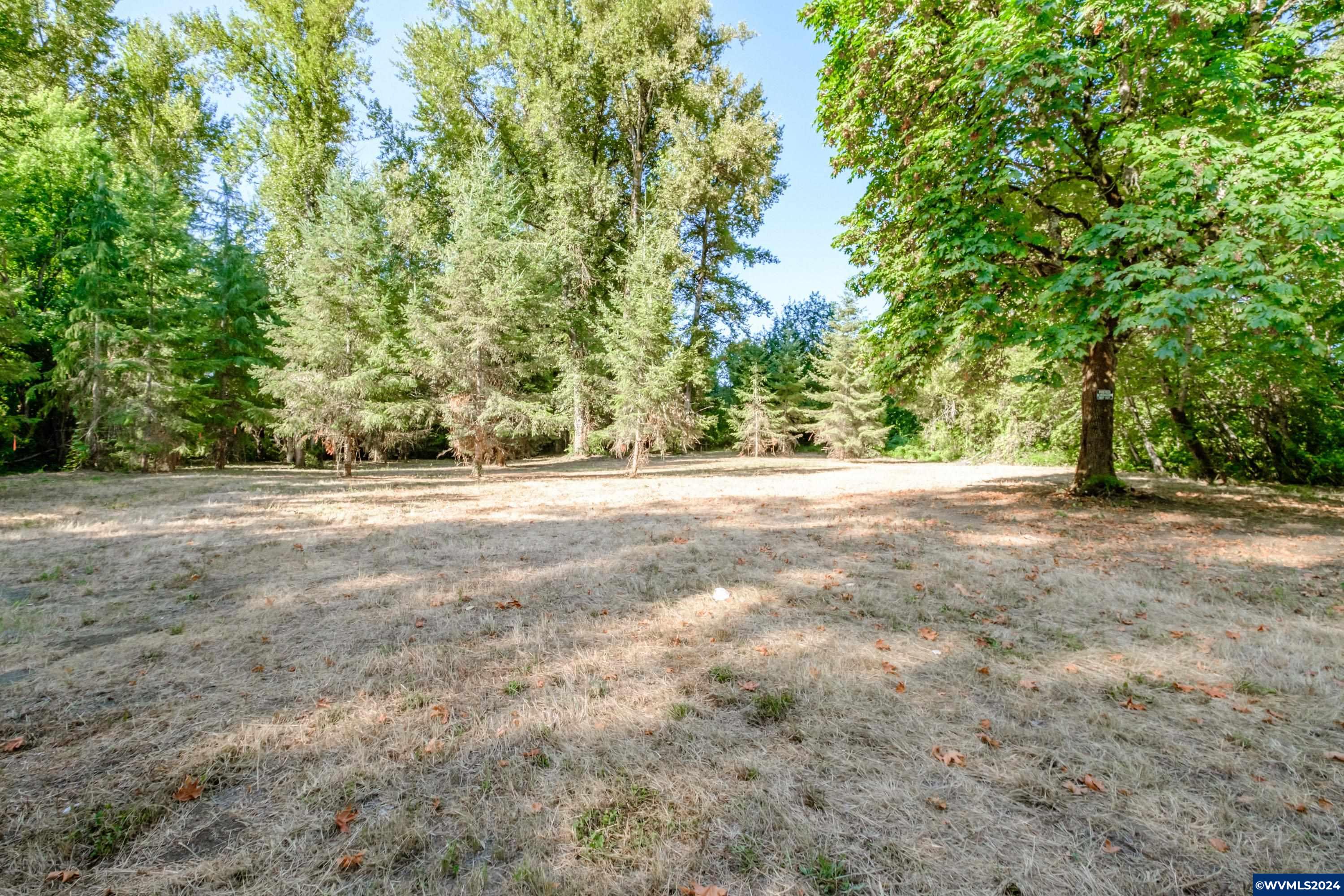 Lot 3 Matheny Road Gervais, OR 97026 - Photo 6 of 27