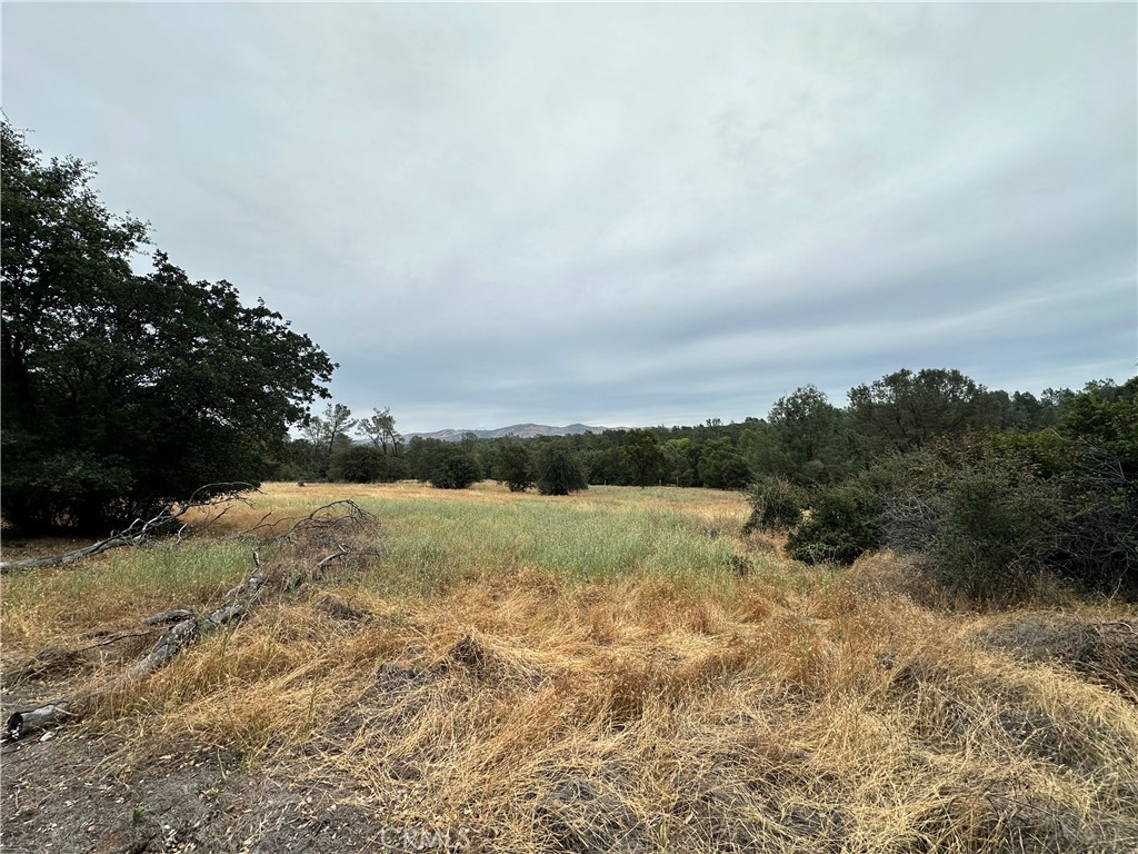 414 Beaver Road Oroville, CA 95966 - Photo 9 of 10
