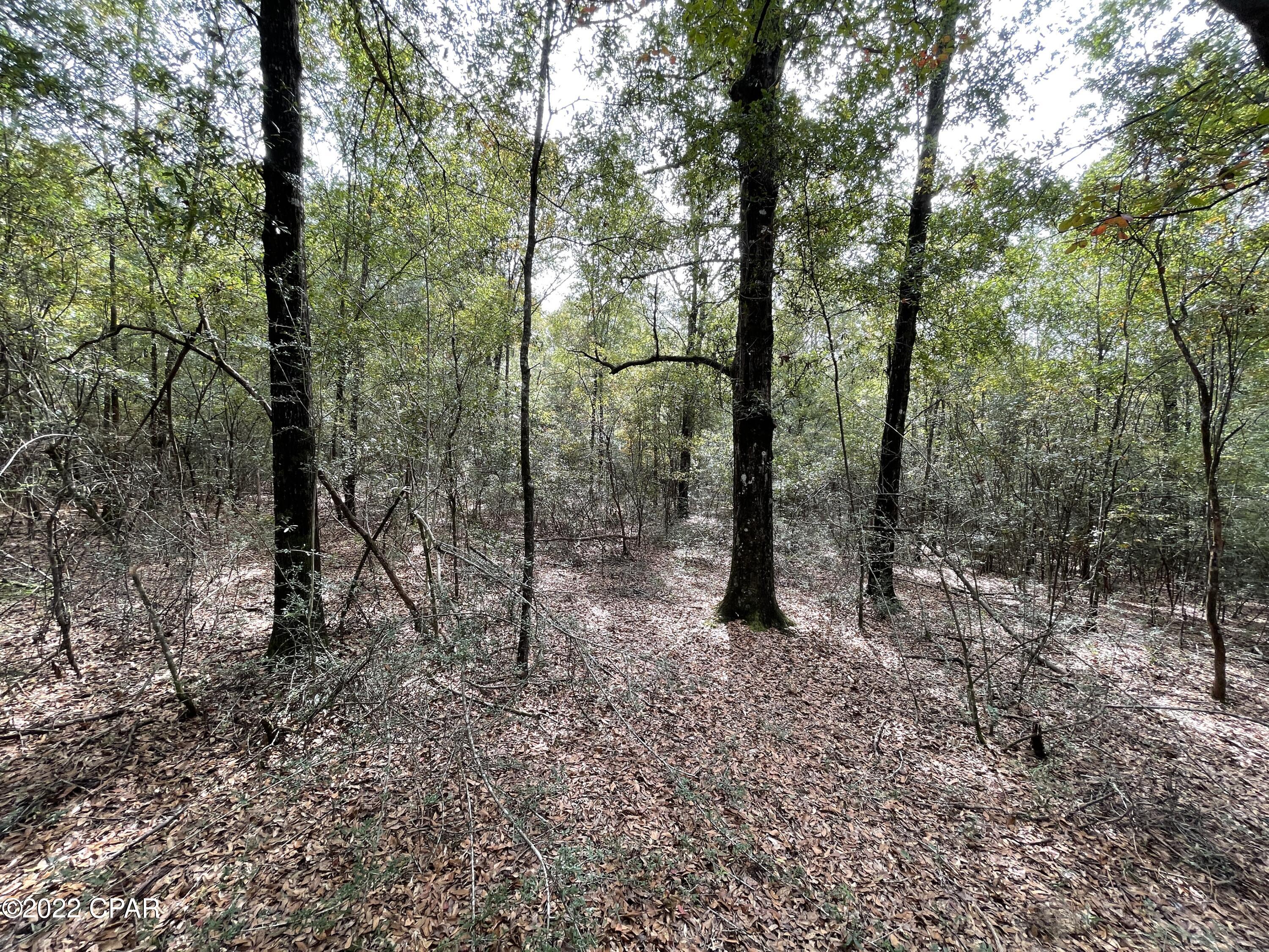 0 State Road 89 Road Jay, FL 32565 - Photo 5 of 27