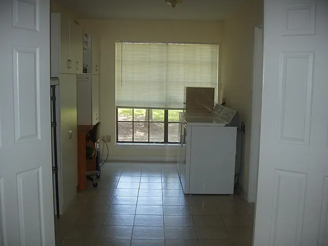 a view of a trees in a yard