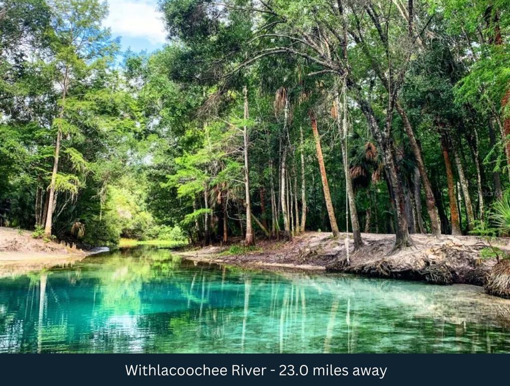 401 County Rd Lake Lake Panasoffkee, FL 33538 - Photo 23 of 31