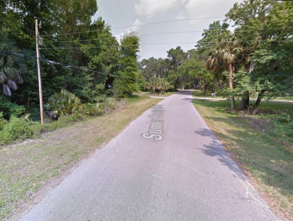 401 County Rd Lake Lake Panasoffkee, FL 33538 - Photo 24 of 31