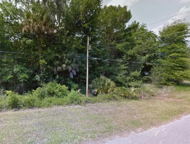 $25,000 | 401 County Rd Lake, Lake Panasoffkee, FL 33538