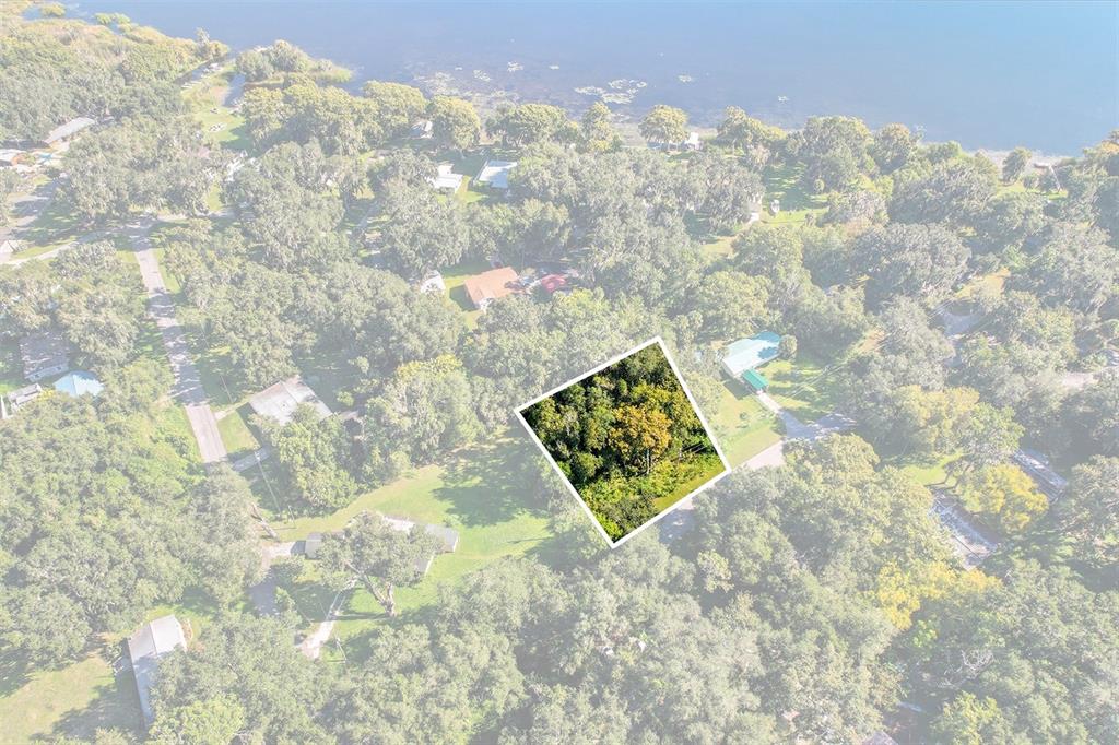 401 County Rd Lake Lake Panasoffkee, FL 33538 - Photo 26 of 31