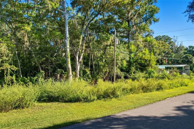 $25,000 | 401 County Rd Lake, Lake Panasoffkee, FL 33538