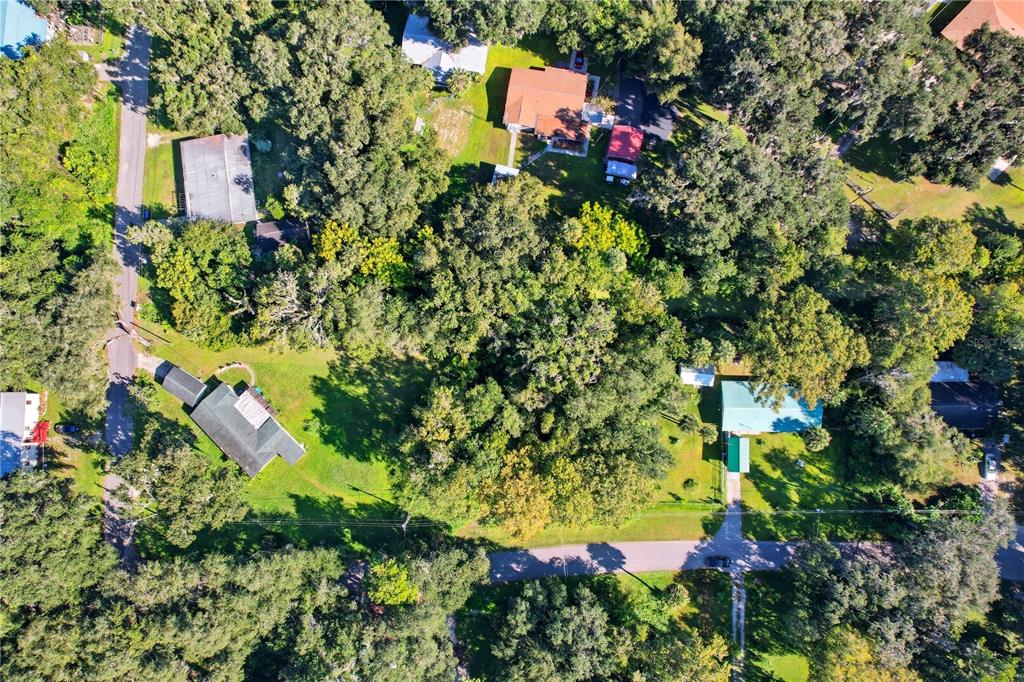 401 County Rd Lake Lake Panasoffkee, FL 33538 - Photo 7 of 31