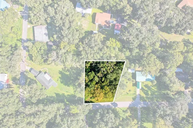 $25,000 | 401 County Rd Lake, Lake Panasoffkee, FL 33538