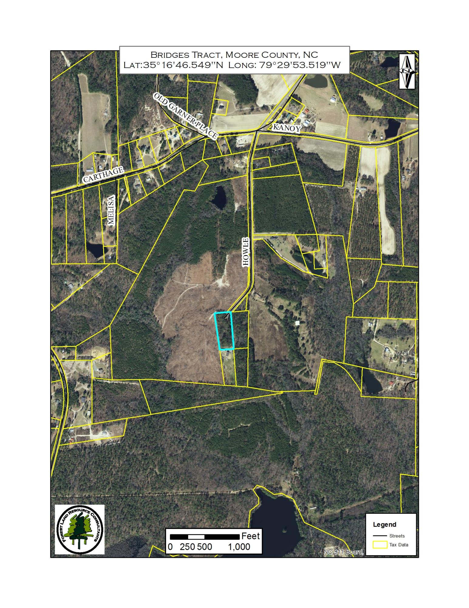 Tbd Howle Road West End, NC 27376 - Photo 3 of 3 800 Photo