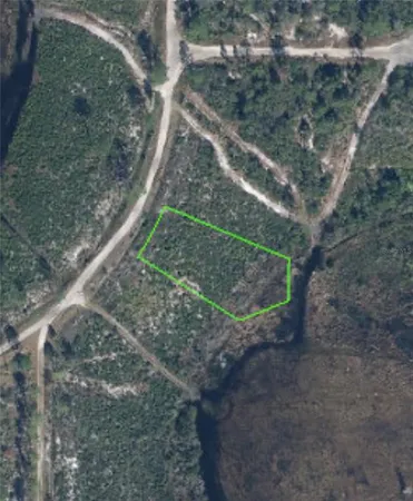 a view of a yard with plants