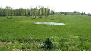 Tbd1795 Moto Cross Road Mitchell, IN 47446 - Photo 5 of 14