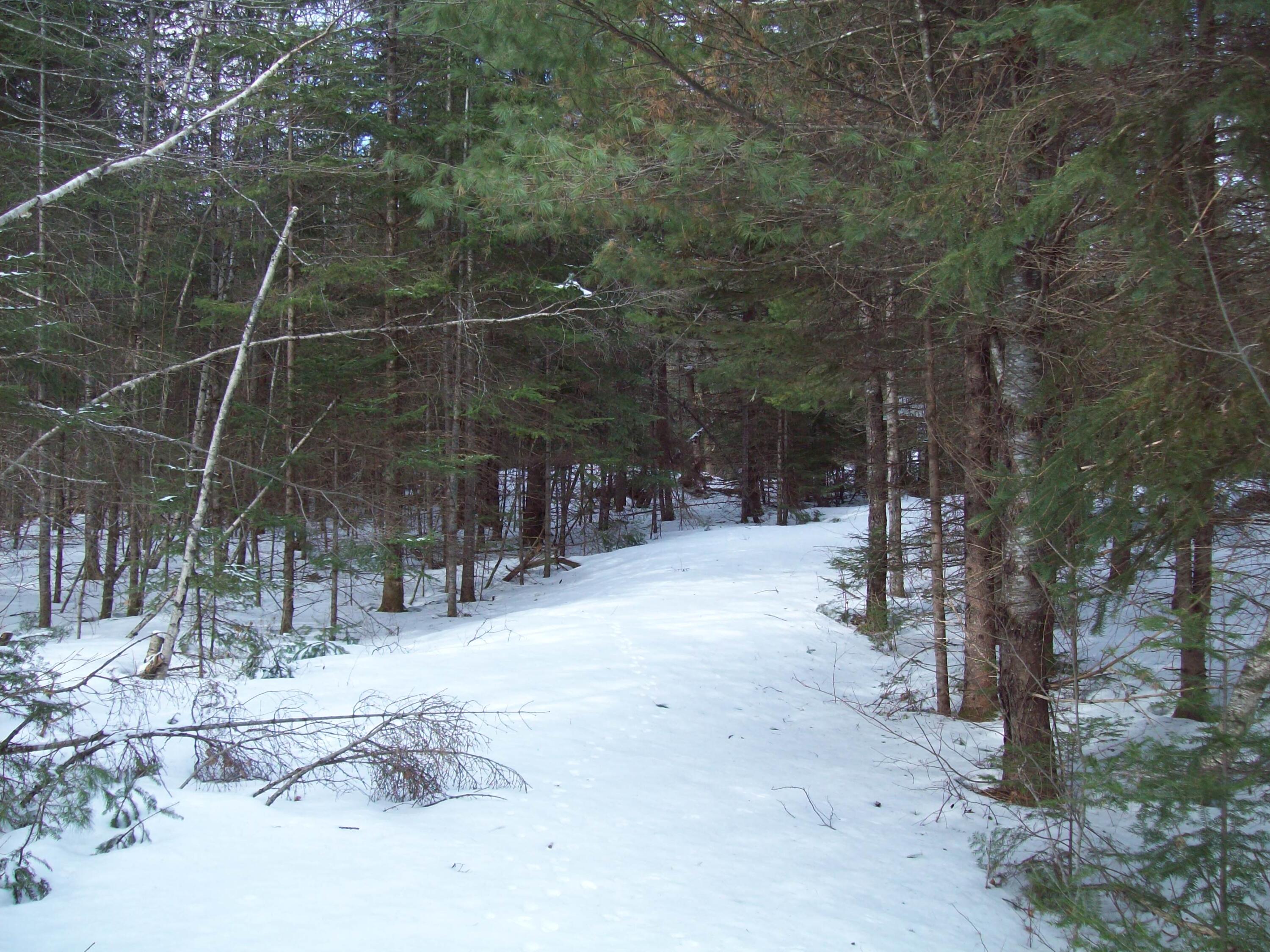 580 Town Line Road Springfield, ME 04487 - Photo 17 of 21 100_2525