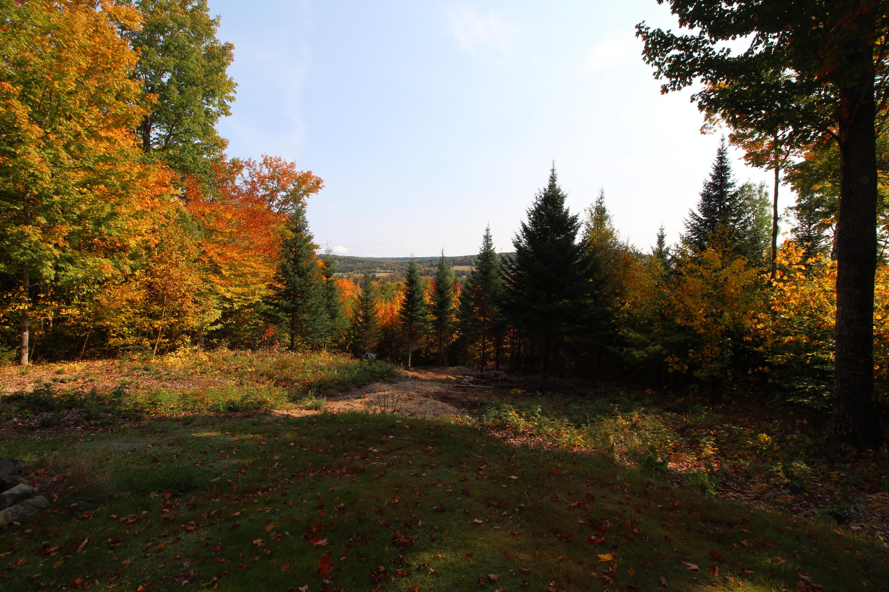 29 Curley Road Rangeley, ME 04970 - Photo 16 of 23 IMG_2269