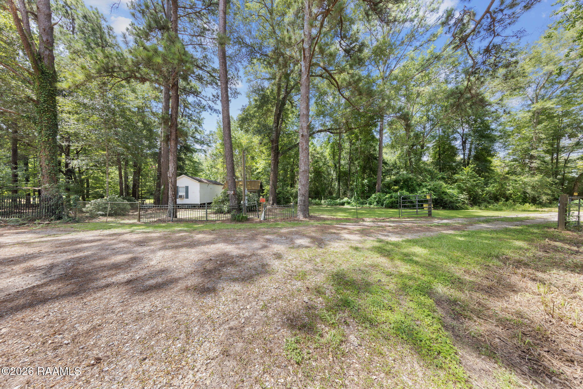 301 Crabapple Road Iota, LA 70543 - Photo 11 of 40 11-web-or-mls-803A6135