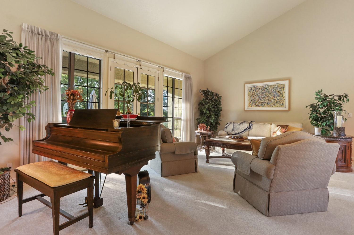 11791 Alpine Road Lodi, CA 95240 - Photo 13 of 74 a living room with furniture and a potted plant