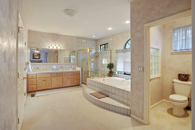 a view of a tree in a yard