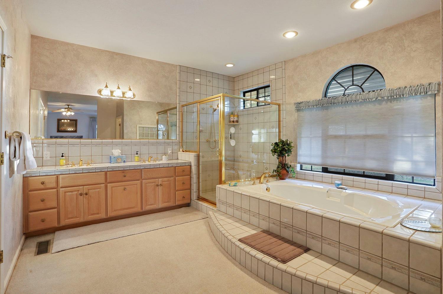 11791 Alpine Road Lodi, CA 95240 - Photo 48 of 74 a spacious bathroom with a granite countertop sink a mirror a bathtub and shower