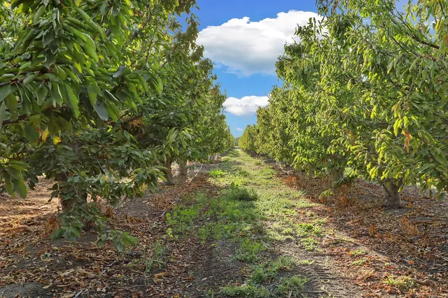 $1,550,000 | 11791 Alpine Road, Lodi, CA 95240