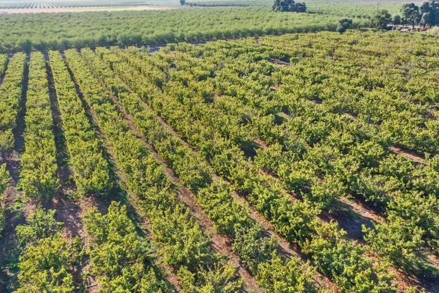 $1,550,000 | 11791 Alpine Road, Lodi, CA 95240