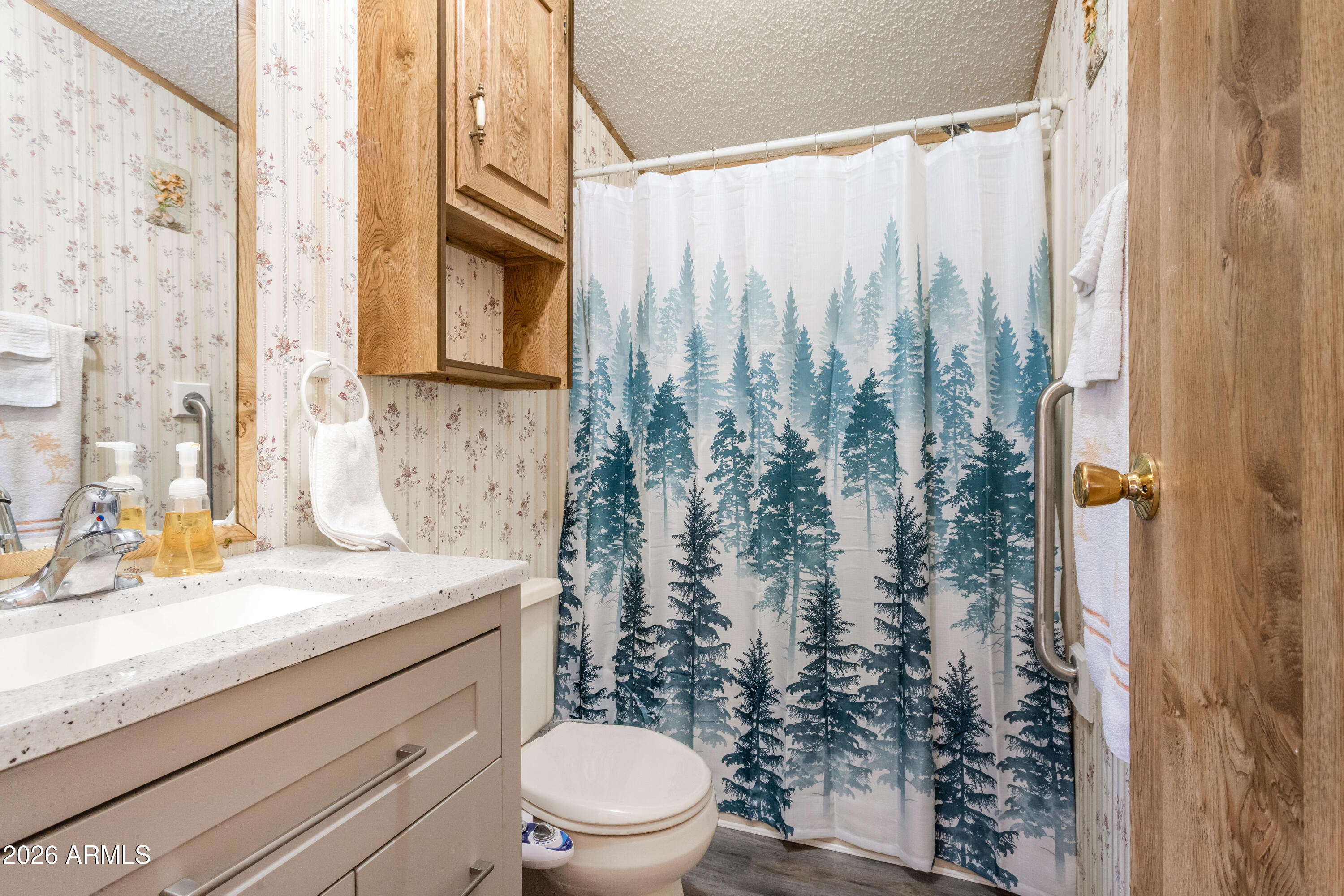1935 North Tortoise Trail Dragoon, AZ 85609 - Photo 21 of 38 a bathroom with a granite countertop sink a toilet and shower curtain
