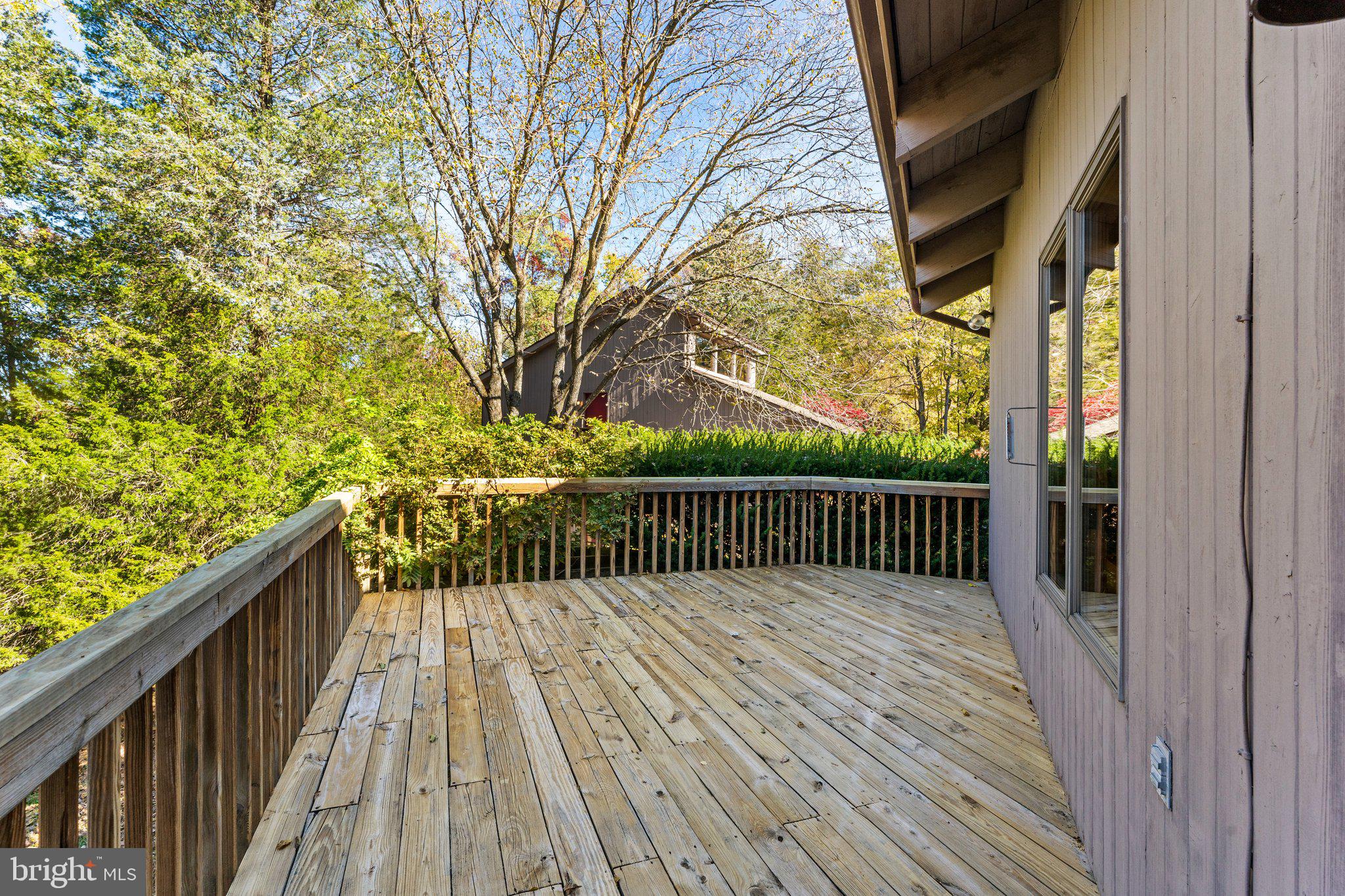 18163 Canby Road Leesburg, VA 20175 - Photo 11 of 69 Side deck