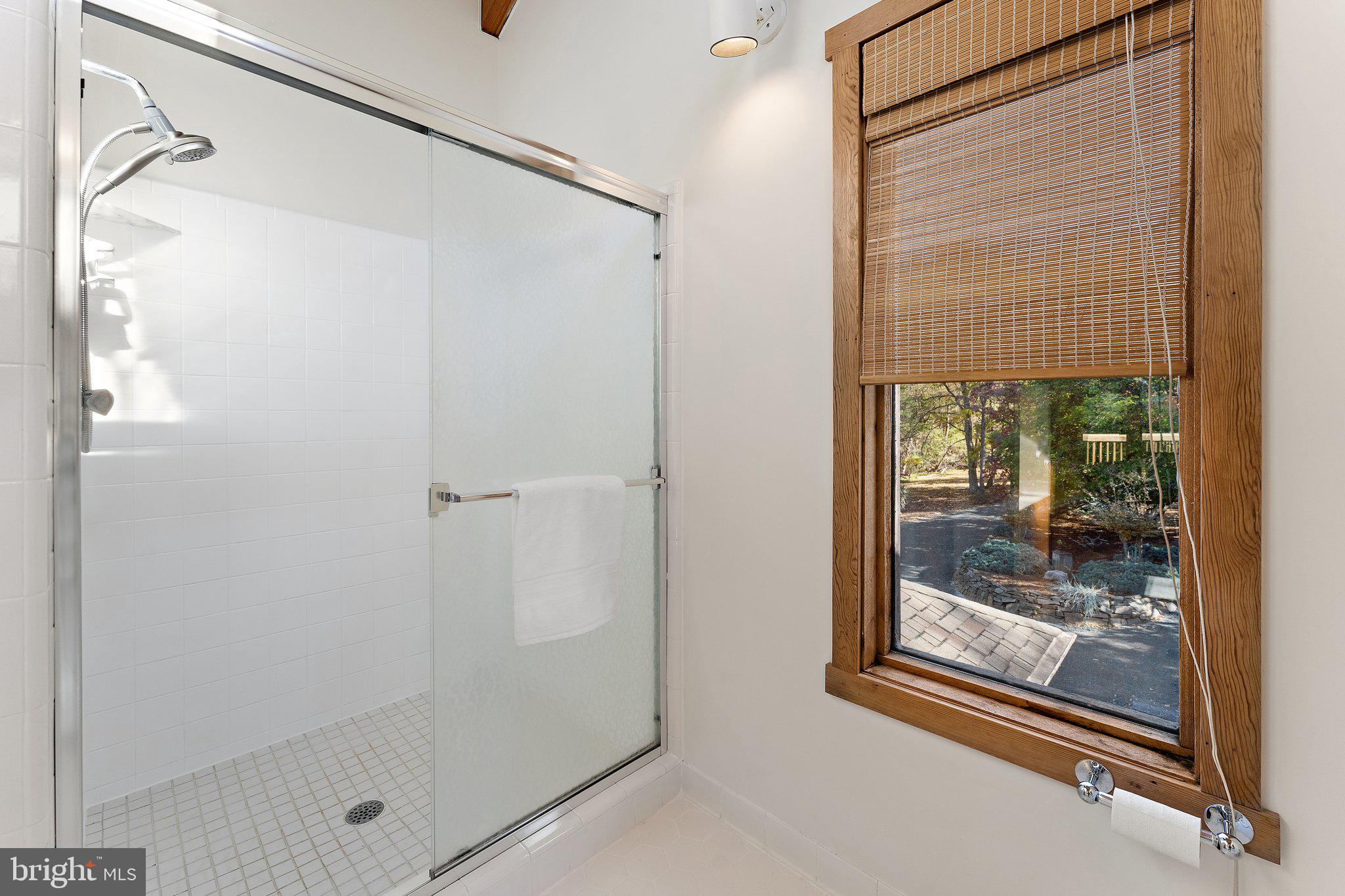 18163 Canby Road Leesburg, VA 20175 - Photo 38 of 69 Primary bathroom large shower