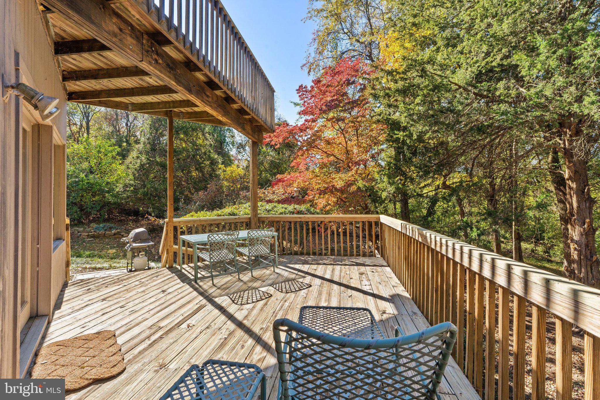 18163 Canby Road Leesburg, VA 20175 - Photo 45 of 69 Rear deck