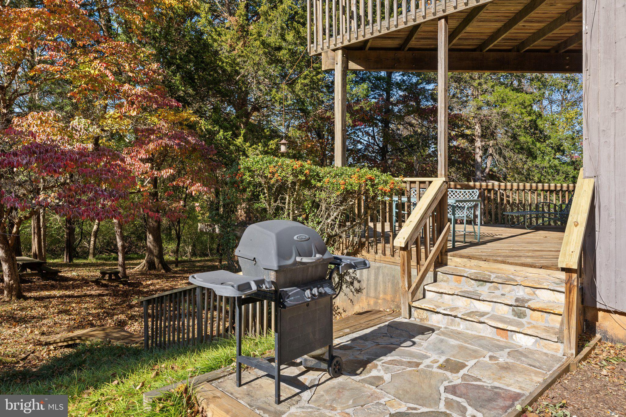18163 Canby Road Leesburg, VA 20175 - Photo 46 of 69 Rear deck and patio area for grill