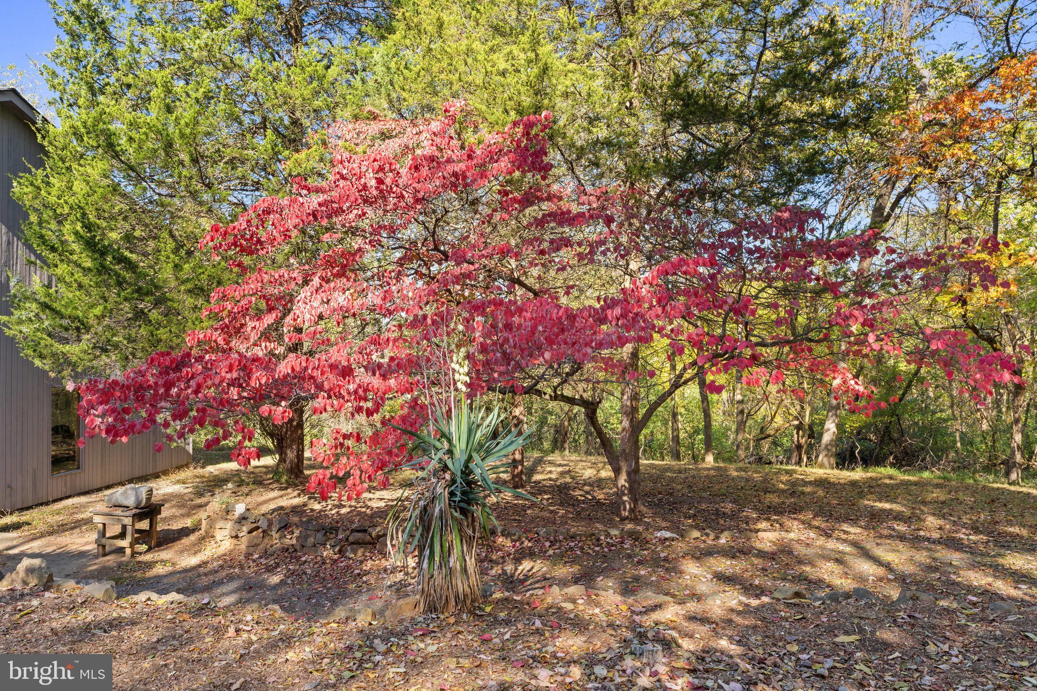 18163 Canby Road Leesburg, VA 20175 - Photo 64 of 69 Gallery Image 64