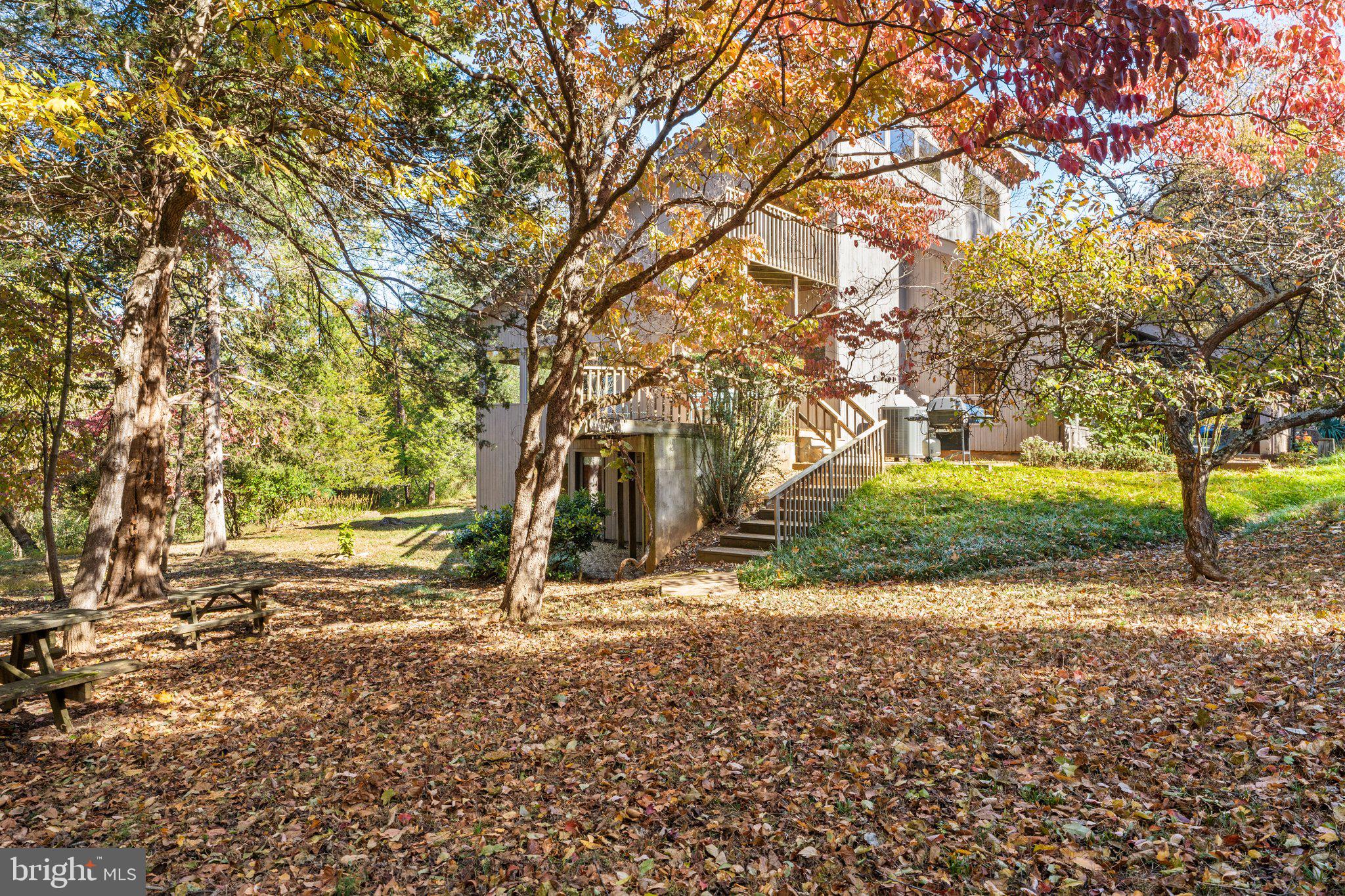 18163 Canby Road Leesburg, VA 20175 - Photo 66 of 69 Rear view of house